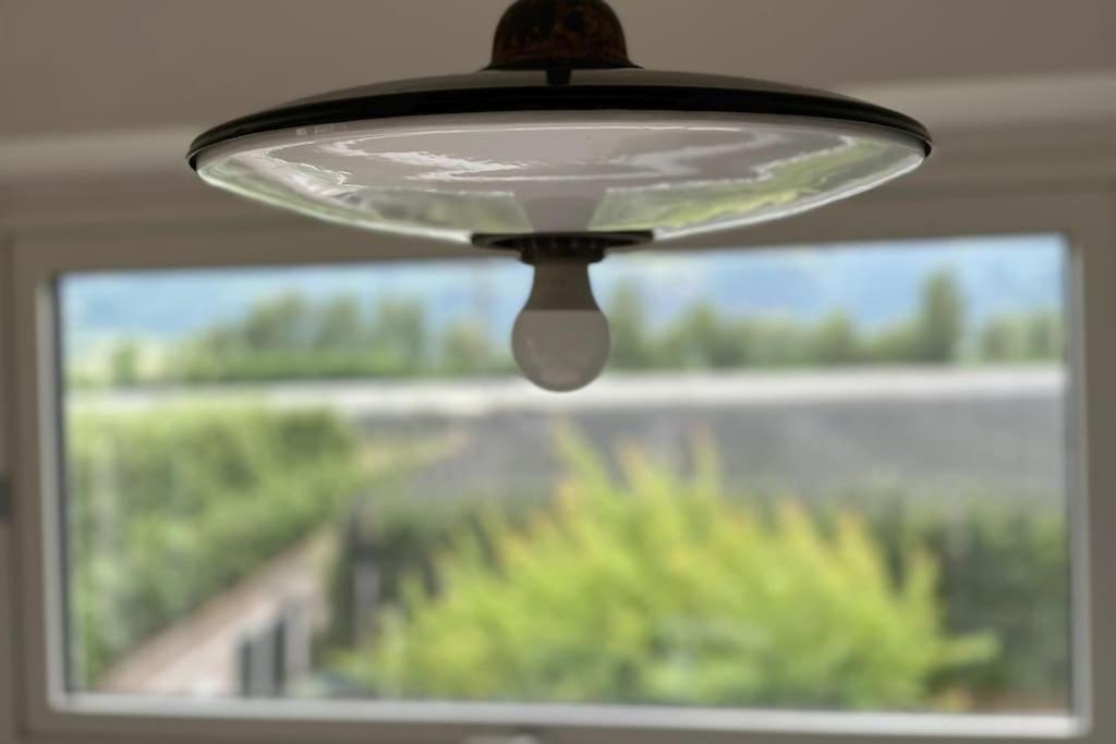 Haus Hafner Sonniges Apartment Терлано Екстериор снимка